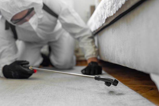 Professional Bed Bug Control technician working in Monona, IA