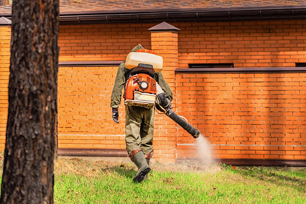 Trusted Ant Control service in Monona, IA - Nex Pest Control